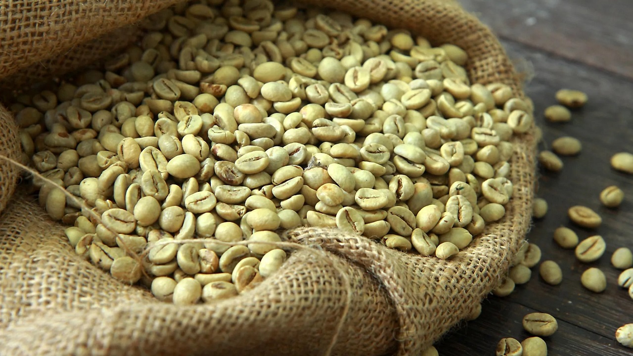 Specialty coffee green beans in a jute sack